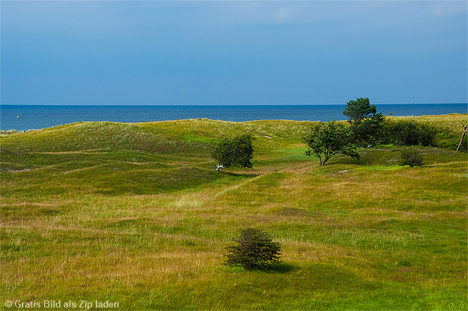 Dünen - Dünenlandschaft