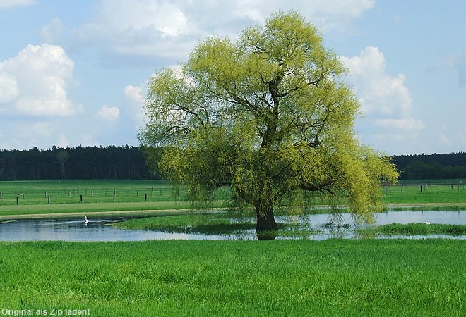 Idyllische Landschaft bei Lobetal