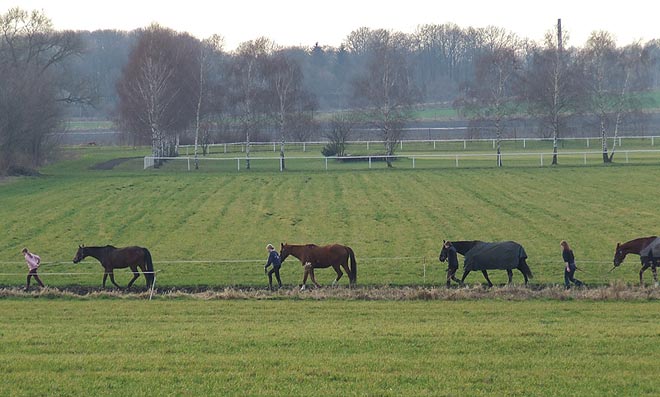 Reiten in Berlin Malchow