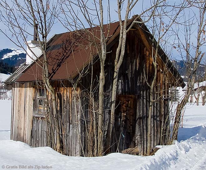 Zugewachsene Hütte